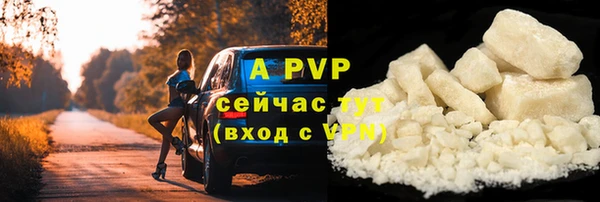 ПСИЛОЦИБИНОВЫЕ ГРИБЫ Волоколамск