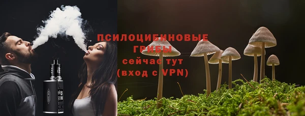 прущая мука Семёнов