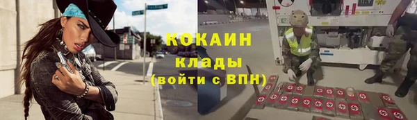 гашик Семилуки